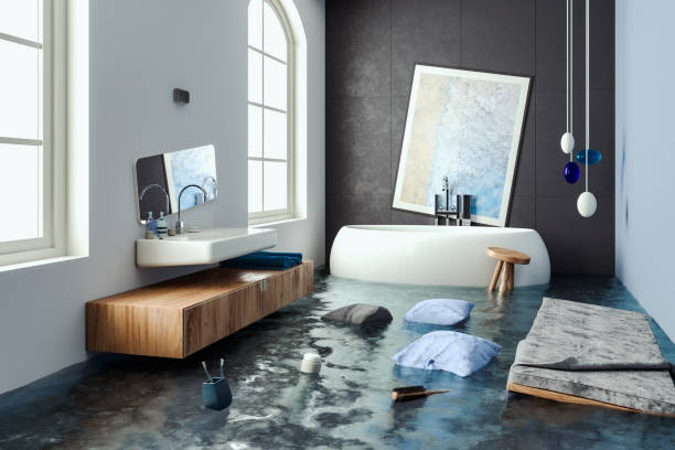 Best Mold removal after water damage  in Dardenne Prairie, MO