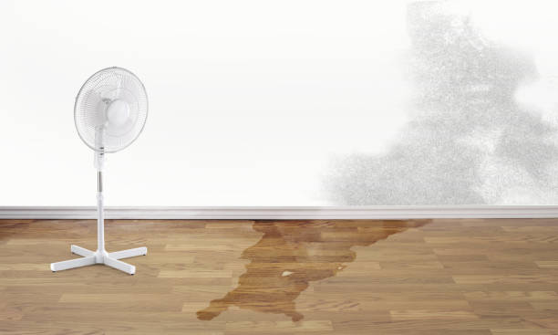 Best Residential water damage restoration  in Dardenne Prairie, MO